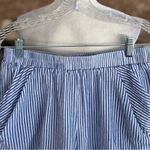 Bishop and Young  Shorts Striped Flared Blue S High Waist Preppy Weekend Vacation Photo 3