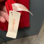 Cacique NEW  lane bryant red and black lace roses babydoll with thong Photo 3