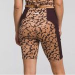 The North Face Women's Dune Sky 9" Tight Short Photo 1