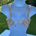 Curve Muse Elegant Lace Trimmed Bra in Tan 36C Size undefined Photo 1