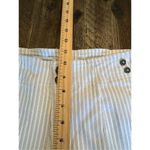 Pilcro and the Letterpress  high rise skinny pants size 28 striped Anthropologie Photo 6