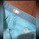 SO  Light Blue Shorts Photo 4