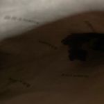 Brahmin ANNA BLACK TUSCAN LEATHER VINTAGE SHOULDERBAG TOTE Photo 9