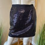 J.Crew  Purple Blue Sequined Mini Skirt with Pockets 8 Photo 0