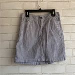 Brandy Melville Pin Stripe Skirt Photo 0