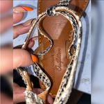 American Eagle America Eagle a outfitters Snake Print Sandals Size 7.5M Photo 3