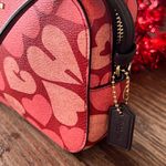 MINI CAMERA BAG WITH COACH HEART PRINT NEW WITHOUT TAGS Photo 1