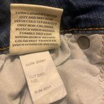 Torrid  Distressed Stretch Jeans with Floral Appliqué & Raw Hem Photo 5