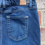 L.L.Bean  Women's Skinny Leg Favorite Fit Jeans Size 8P Photo 3