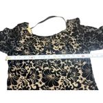 Laundry by Shelli Segal 8 Black Burnout Velvet Dress Cocktail Party Tan Lined Photo 10