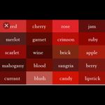 Active Basic Active Wine Colored Top size Medium Photo 5