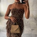 ZARA  Dress mini mesh sheer animal print Leopard Print Strapless Dress Photo 0