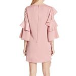 Ted Baker Dress Photo 3