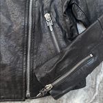 Leather Moto Studded Fleur Photo 2