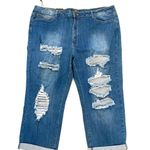 L&B  Blue Distressed High Rise cropped Women’s Plus Jeans Size 22 New Photo 11