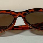 Brown Tortoise Shell Oversized Cat Photo 2