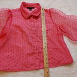 Forever 21  Size Small Bright Pink Sheer Puffy Sleeve Textured Polka Dot Collar Photo 1