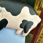 Vintage Hand Photo 3