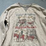 Disneyland x Junk Food Parks Unisex Sweatshirt Magic Kingdom Frontierland Size M Photo 3
