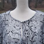 Rose + Olive  Sheer Snake Print High/Low Waistline Blouse Photo 1