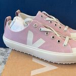 VEJA  Nova Canvas Sneaker BNIB Mesh Babe_Pierre US6 EUR 37 NEW Photo 2