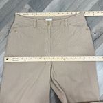Liz Claiborne Audra Striped Straight Leg Casual Pants Tan 12 Photo 9