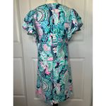 Lilly Pulitzer  Kathie Dress In Lookin Sharp‎ Size M Flounce Sleeve Preppy Resort Photo 4
