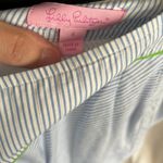 Lilly Pulitzer  Fayette Skirt Striped Delta Blue Peek A Boo Stripe Size 4 Vintage Photo 2