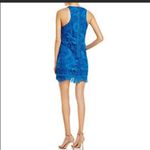 Lovers + Friends  Capsian Lace Halter Shift Mini Dress: Blue Cobalt Photo 8