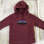 Patagonia Burgundy Sweatshirt Photo 2