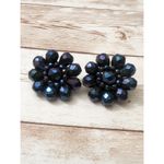 Vintage Clip On Earrings Photo 1