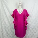Badgley Mischka  Belle Pink Ruffle Bell Sleeves V-Neck‎ Cocktail Dress Size 10 Photo 2