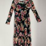 None Floral Mesh Partially Lined Long Sleeve Dress Photo 0
