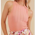 Mink pink evil knit tank NWT Photo 1