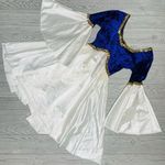 Costume gallery Renaissance style velvet dress with flair skirt and bell sleeve Purple Photo 0