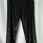 ALC Frank A.L.C. Elegant Black Sequins Pants **Size 2** 🌺🌺 Photo 0