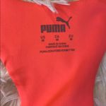 Puma Swimsuit Photo 5