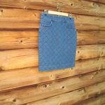 J.Crew  Blue Denim Pencil Skirt Photo 4