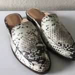 Steve Madden Snake Mules Photo 0