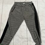 Jack by BB Dakota Jack gray jogger sweatpants Photo 2