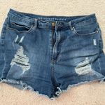 Articles of Society Denim Shorts Photo 0