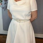 Tahari Classy  Dress Photo 7