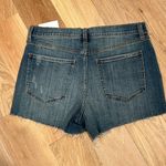 Pistola  size 30 cut‎ off denim shorts, wash code prism Photo 1