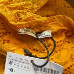 ZARA  Marigold Lace Crop Top Size Medium New With Tags Photo 4