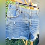 Aerie  Daydream Denim Short size Large Photo 5