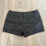 Daisy Fuentes  Women’s Onyx Crosshatch Shorts Size 12 Photo 7