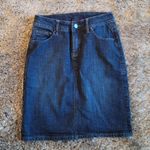 Jag jeans Dark Wash Stretch Denim Skirt 8 Photo 1