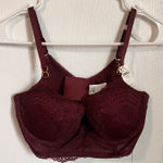 Aerie Burgundy Lace Plunge Longline Bra Balconette Size 34D New With Tags Photo 0