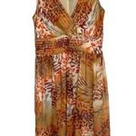 Spiegel 100% silk dress size 10 sleeveless Photo 0