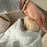 Aerie Grey  Hoodie Photo 3